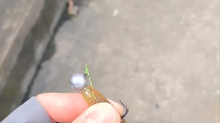 Momen terbaik Ajin saya✧(≖ ◡ ≖✿)