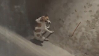 Bro, what are you doing down there?