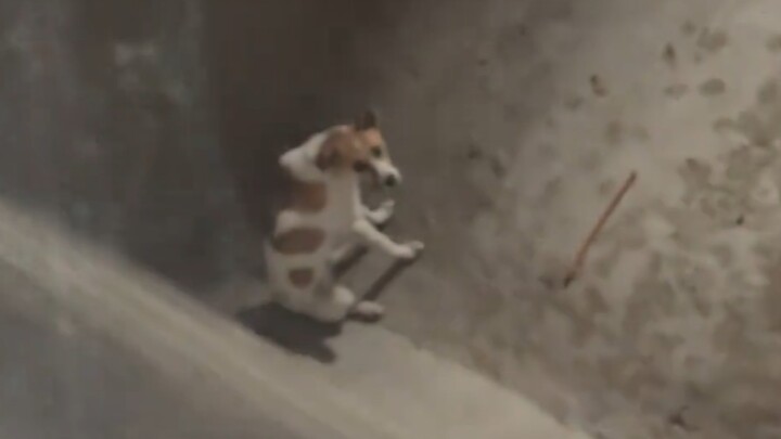 Bro, what are you doing down there?