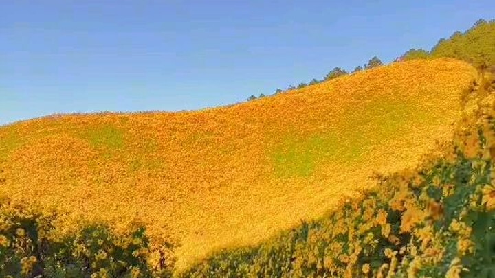 Một chút yên bình