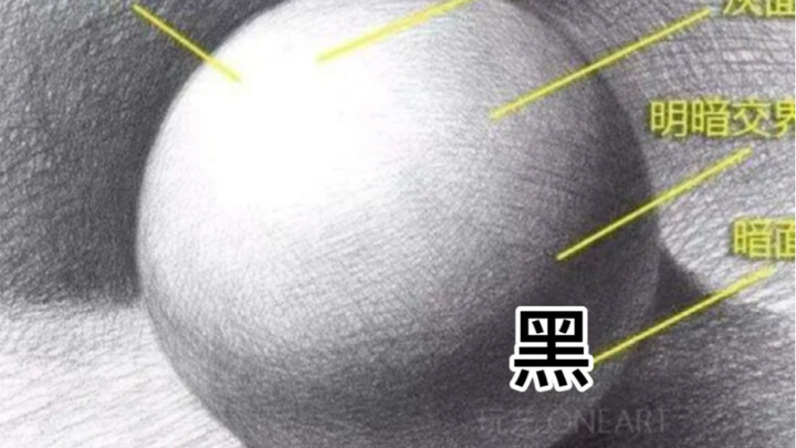 "22w Angry Flower Learns from MGP" Corrects Four Misconceptions! (Sketch Primer + 3D Eyebrow Drawing