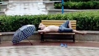 Mưa rửa sạch tâm hồn tôi và tôi cảm thấy tự do