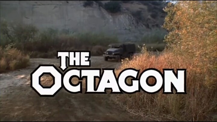 chuck Norris (American movie) # theoctagon