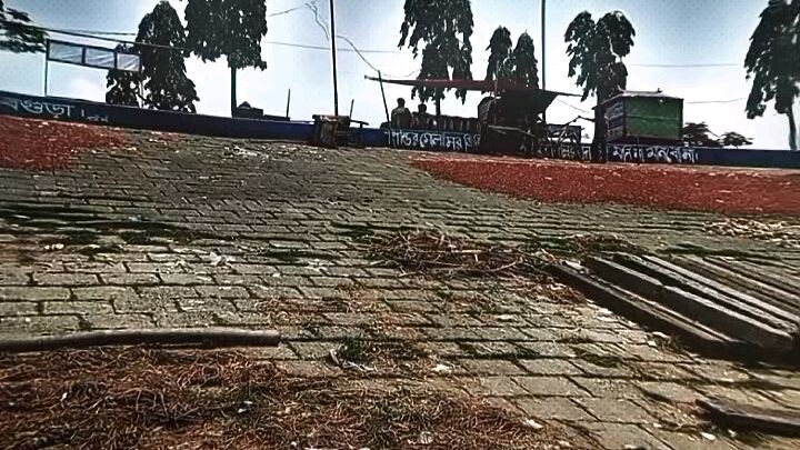 sariyakandi bad from bangladesh