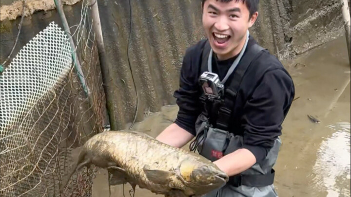 趁我爸不在家 我把家里鱼塘抽干了