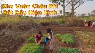 2Q vlogs||Xóm trọ châu phi tích cực trồng cây giống|| Ahihi cuộc sống châu Phi