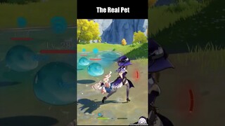 Paimon I Actually A Pet #genshinimpact #shorts