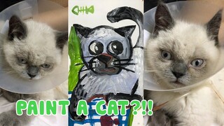 Paint a Himalayan cat Acrylics painting tutorial step by step -  Funny reaction of my Cat