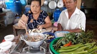 Được Mớ Cá Ngon Liền Đem Về Ba Mẹ Ăn Lấy Thảo| TKQ T241