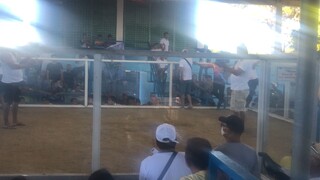 Lose kung hindi tumakbo panalo sana