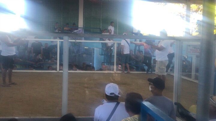 Lose kung hindi tumakbo panalo sana