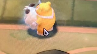 ماذا تفعل يا حبيبي