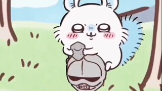 Flying Squirrel: This thing is so tough!