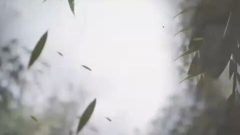 Trình