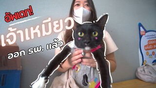 อัพเดทเจ้าเหมียว ออก รพ แล้ว Ep 287