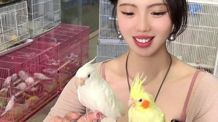 Hari ini nggak cari barang! Cari burung!