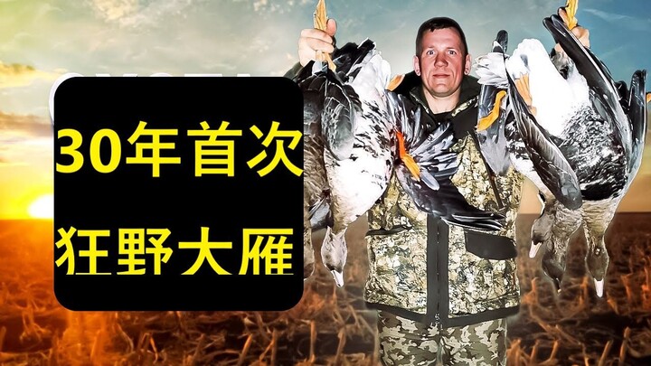 Wild Goose Hunting Record | 惊人收获！30年来最疯狂的一次打猎
