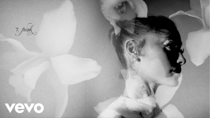 Ariana Grande - freak (official visualizer)