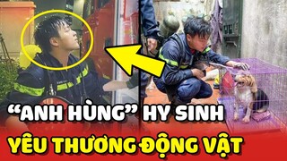 "ANH HÙNG" lính cứu hỏa YÊU THƯƠNG ĐỘNG VẬT đã HY SINH vì cứu người trong biển lửa | Yêu Lu