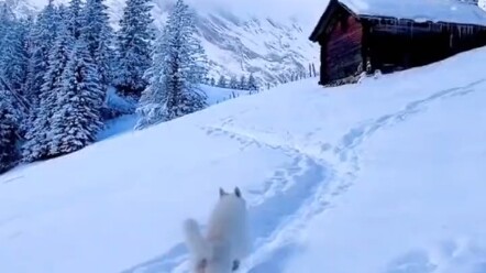 为什么一定要拔走冰棍！