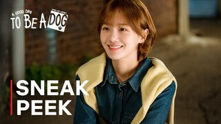 A Good Day To Be A Dog | Sneak Peek | Park Gyu Young