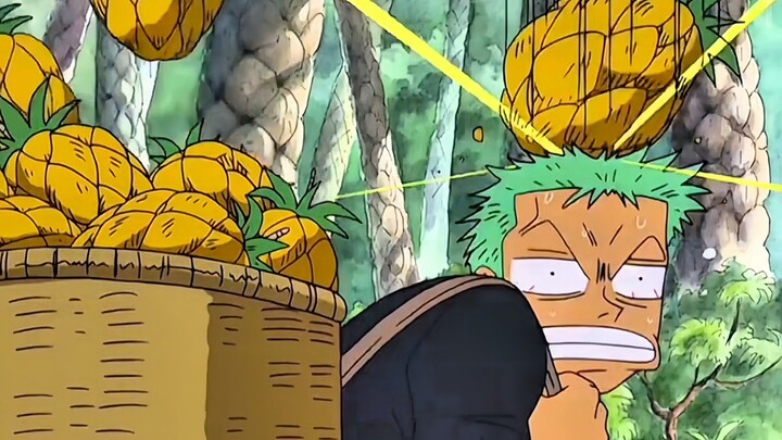 Ketika Zoro Disuruh Panen Buah 🤣