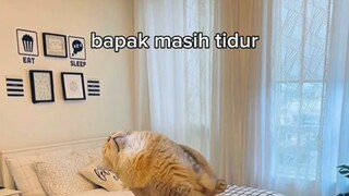 Nomral day in Ramadan