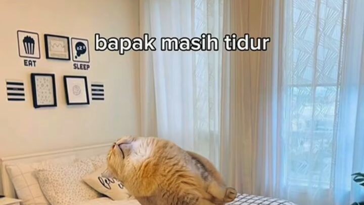 Nomral day in Ramadan