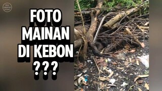 Foto Mainan di Kebon. Emang bisa?
