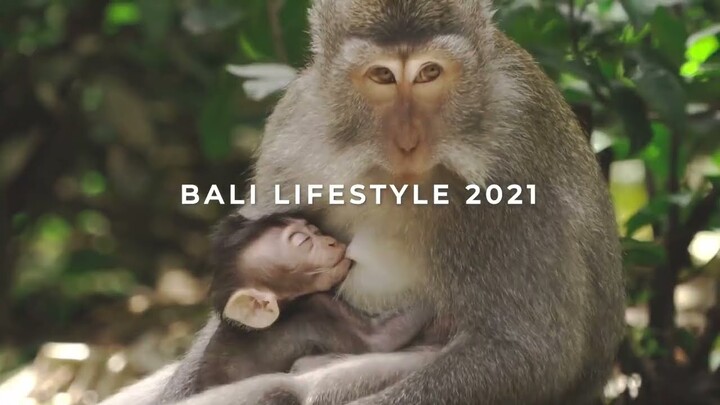 Invest in Bali from $1000 only! Bali property for everyone