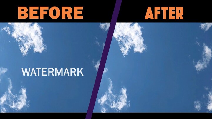 How to remove Watermark in your Videos