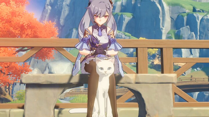 Waduh! Ternyata kucing di Genshin Impact juga punya kegunaan seperti ini....