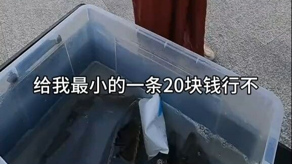 เด็กสมัยนี้ช่างซนจริงๆ เลย