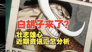 白胡子已进入开发阶段？未来一年12个红卡，近期资讯汇总分析【壮志雄心】