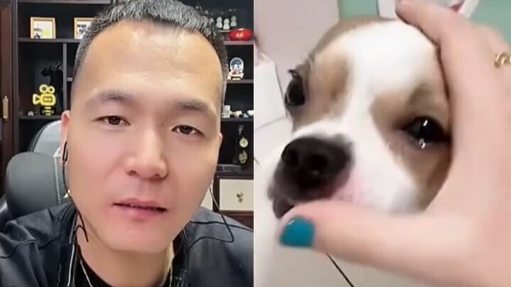 Pan Hongjian’s Legendary Dog Moments