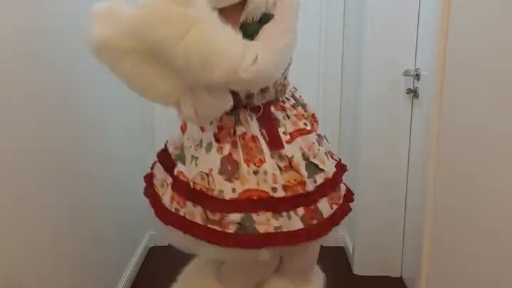 ❤️ The cat is so white❤️