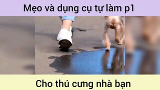 Mẹo và dụng cụ tự làm cho thú cưng p1