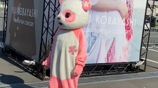 疑似粉红熊猫小林由依跳 start over