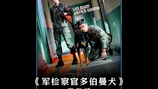 新兵被欺负两年后终于忍无可忍最后一气之下屠了整个军营 "  "军检察官多伯曼犬
