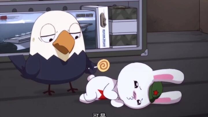 兔子超野的撒娇技巧！——会撒娇的兔子