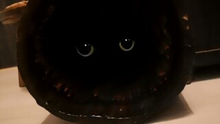 Tengah malam, lantai dua rumahku mengeluarkan suara aneh!