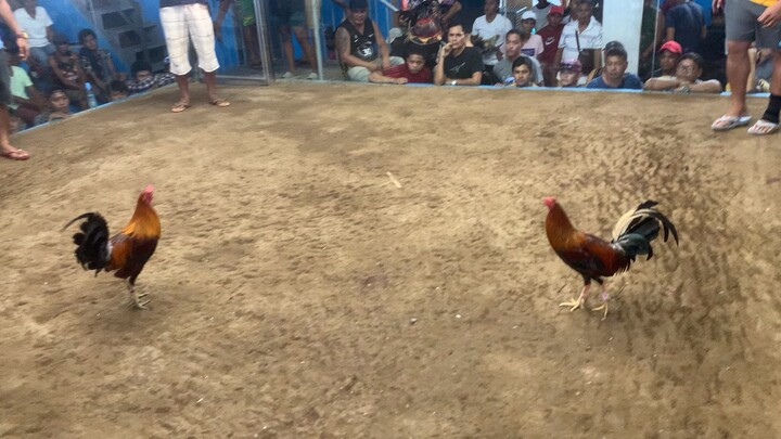 talo na, nanalo pa!#sasabeachresortGF