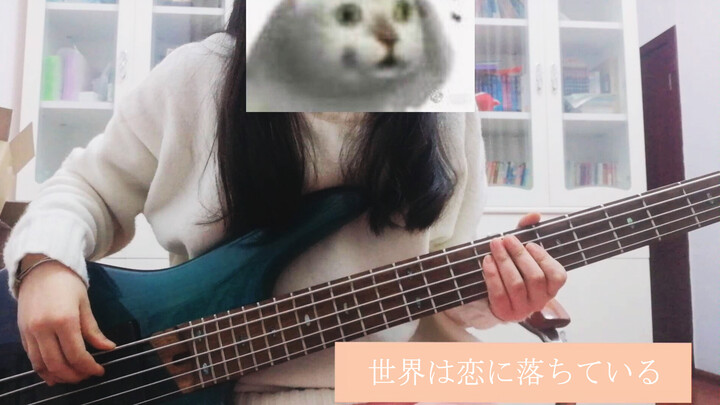 [Music]Bass covering <世界は恋に落ちている>｜<アオハライド>