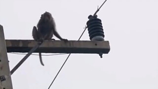 ชีวิตนี้จบแล้ว