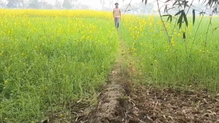 😂 爆笑搞笑视频｜Asia Aman｜笑到停不下来.大家好！欢迎来到 Asia Aman 😂这里会分享搞笑短视频、日常搞笑和有趣的瞬间。喜欢我的视频，请点赞、关注和分享 ❤️感谢大家支持 Asia