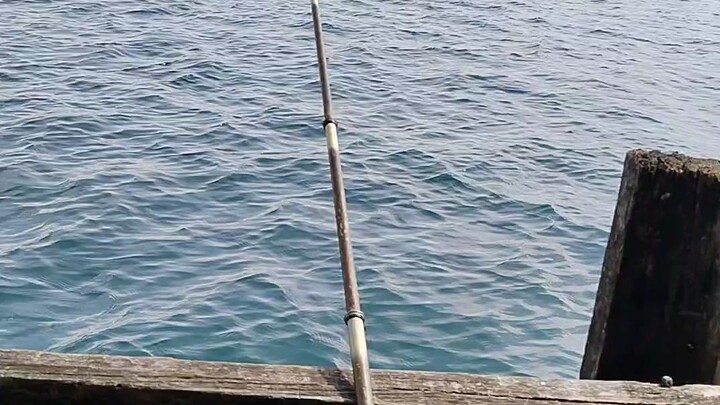 udara segar di laut cerah