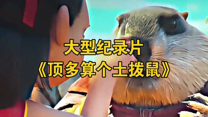 大型纪录片《顶多算个土拨鼠》为您奉上！
