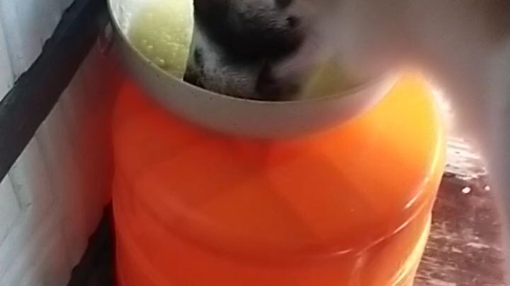kain po tayo😊😊