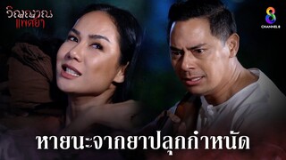 หายนะจากยาปลุกกำหนัด | HIGHLIGHT วิญญาณแพศยา EP12 | ช่อง8