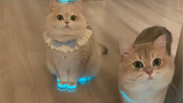 Aku sangat cinta dua bayi bercahayaku!